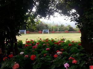 two benches sitting in a field of flowers at Bella Vista Mahabaleshwar in Mahabaleshwar