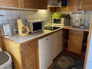 uma pequena cozinha com bancada e micro-ondas em Chalet Les Angles, 4 pièces, 6 personnes - FR-1-295-136 em Les Angles