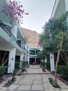 Dahab Bay hotel في دهب: ساحة مبنى به اشجار وورود