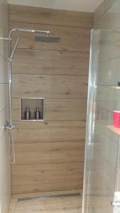 a shower with a glass door in a bathroom at Apartma Lara in Bled