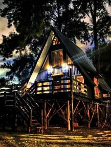 a tree house with lights on top of it at COEMBOTA Cabañas in Tigre