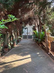uma passarela com árvores e vasos de plantas em Vibo Apartment em Vibo Valentia