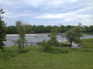 un barco en un río con árboles en el fondo en Usadba Novosnezhka, en Novosnezhnaya
