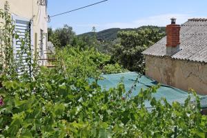 Vonkajšia záhrada v ubytovaní Apartments by the sea Supetarska Draga - Donja, Rab - 15997