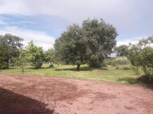un camino de tierra en un campo con árboles y césped en Country Homes Gite 2, en Saulgé