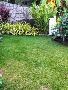 a yard with green grass and flowers and plants at Silhoutte View Apartments in Glacis