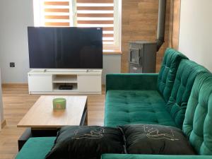 a living room with a green couch and a tv at Czarny Koń „Black Horse” in Kamienna Góra