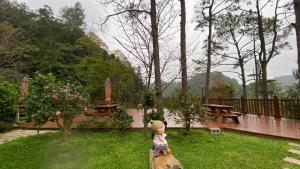 Fotografie z fotogalerie ubytování 山水屋民宿 v destinaci Beipu
