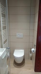 a bathroom with a white toilet and a sink at Apartma Lara in Bled