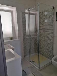 a bathroom with a shower and a sink and a toilet at SoleLuna Apartment 2 in Santa Elisabetta