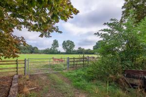 a fence with horses in a field behind it at Luxurious rural retreat - Holt Coach House in Sudbury