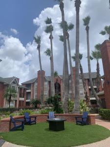 een groep palmbomen en blauwe stoelen in een tuin bij Peaceful Medical Center Apartment 2BR & 2BA in Houston