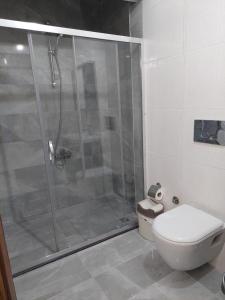 a bathroom with a shower and a toilet at Çelebi Suite Home in Istanbul
