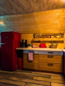 cocina con nevera roja y paredes de madera en Leśny Dwór en Janowice Wielkie