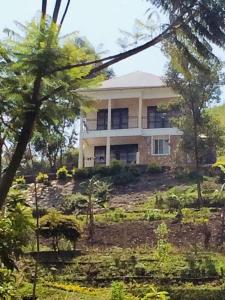 a house on top of a hill with trees at Saka Laka in Fort Portal