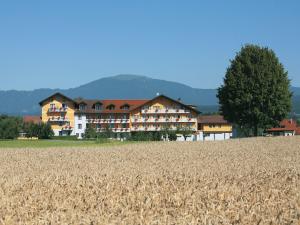 a large building in front of a field of wheat at Hotel Pachernighof in Velden am Wörthersee