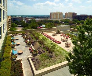 Zahrada ubytování Omni Fort Worth Hotel