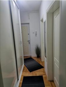a hallway with a mirror next to a door at W Apartman in Gornji Milanovac