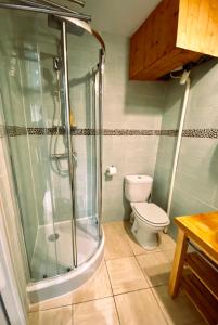uma casa de banho com um chuveiro e um WC. em Petit Cocon cosy au cœur du village d'Allauch em Allauch