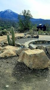 Grupa skał, kaktus i dom. w obiekcie El Contemplatorio w mieście Tiltil