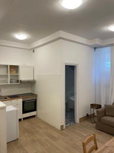 Kuchyň nebo kuchyňský kout v ubytování Art Atelier Apartments + 36 fotografií