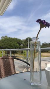 um vaso de vidro com uma flor sobre uma mesa em Alojamento Local Verde e Mar na Comporta