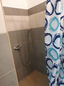 um chuveiro na casa de banho com uma cortina de chuveiro em Houses in the Village em Kavala