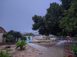 a street with a tree and a brick road at Pousada Viana in Garanhuns