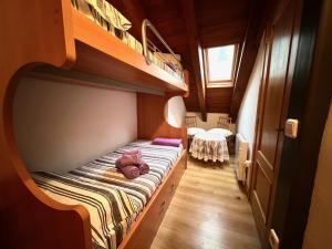 a small bedroom with a bunk bed with a ladder at Apartamento ARS Rialp in Rialp