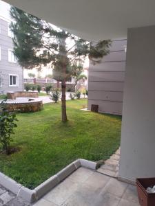 Blick auf einen Garten mit einem Baum darin in der Unterkunft Rainfort turizm sanayi ve ticaret ltd şti in Denizli