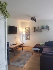 TV a/nebo společenská místnost v ubytování Charmante Maison entre Lot & Dordogne avec Piscine Privée
