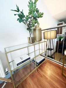 a glass shelf with a potted plant on top of it at Luxury Belfast Stay in Belfast