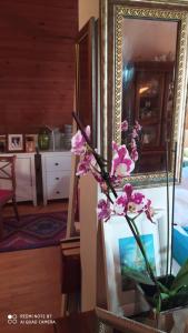 Fotografia z galérie ubytovania Apartment Danka v destinácii Zadar + 6 fotografií