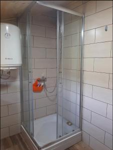 y baño con ducha y puerta de cristal. en Kremanski čardak, en Kremna