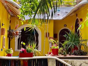 Zahrada ubytování Maison Tulum