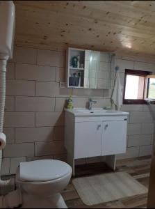 a bathroom with a white toilet and a sink at Kremanski čardak in Kremna