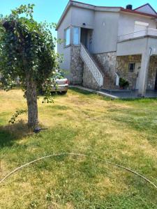 Jardí fora de Hostel Dragana