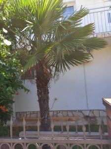 Foto de la galeria de Hostel Dragana a Podgorica