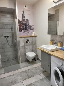 e bagno con doccia, servizi igienici e lavandino. di Moon Apartments Poznań a Poznań