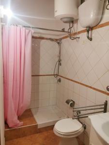 La salle de bains est pourvue d'un rideau de douche rose et de toilettes. dans l'établissement Appartamento bilocale sulla Via Francigena a Campagnano di Roma, à Campagnano di Roma