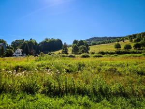 a field of grass with a house in the background at Apartament Anielski E.D. Angelo in Duszniki Zdrój