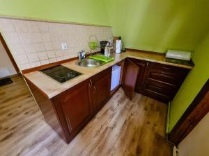 Kuchyňa alebo kuchynka v ubytovaní Apartament Anielski E.D. Angelo
