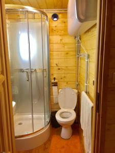 a bathroom with a shower and a toilet and a sink at Mała Aleksandra 