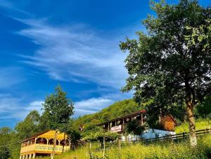 a train station on a hill with a tree at Floare de Maramures 2 in Sighetu Marmaţiei
