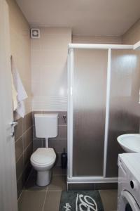 Ein Badezimmer in der Unterkunft Apartman Vas dom
