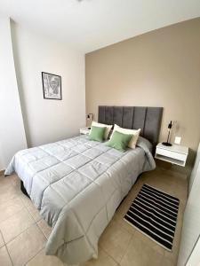 1 dormitorio con 1 cama grande con almohadas verdes en Plaza Caviahue Apartment en Neuquén