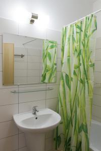 Bagno di Lipno 35 - Lipno In