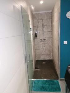 um chuveiro com uma porta de vidro na casa de banho em Chambre privative avec spa em Louplande