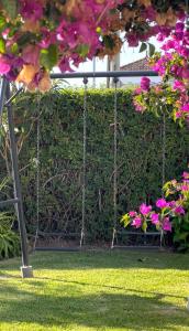a swing in a garden with pink flowers at Casa do Avô Horácio in Carreço