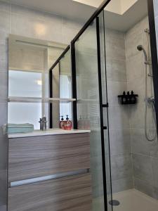 eine Dusche mit Glastür im Badezimmer in der Unterkunft Chez Patron T3 2BR with 2 parking near Disneyland Paris & train station-Chessy in Chessy + 2 Fotos